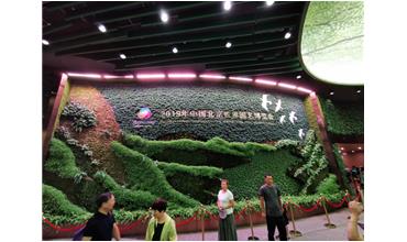 2019北京世園會，我們來啦